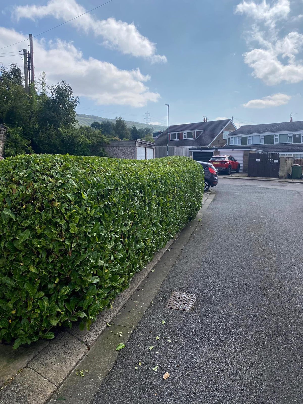 A long, freshly cut hedge with straight sides beside a residential lane