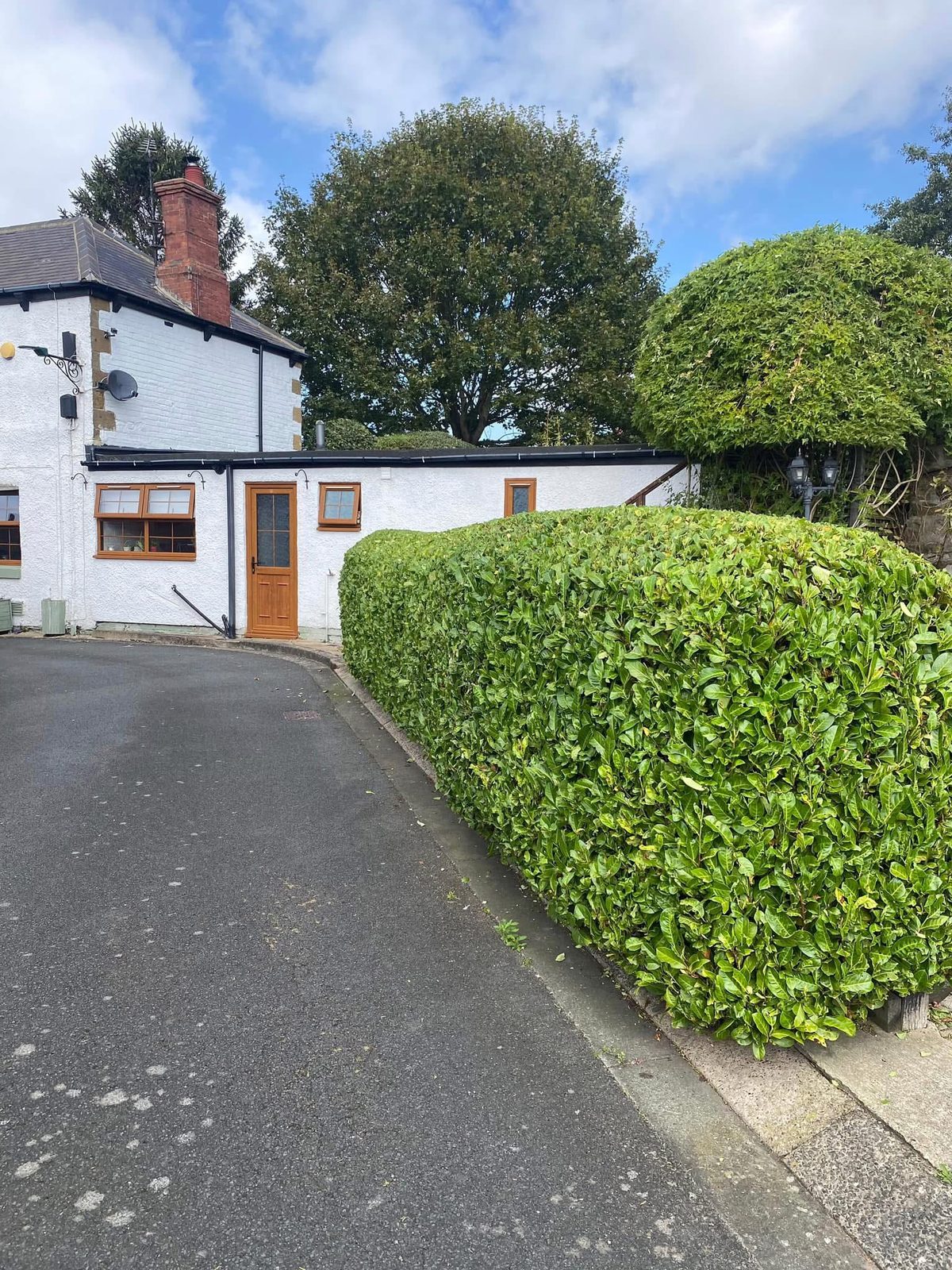 A freshly trimmed, rounded hedge running along a driveway beside a white cottage